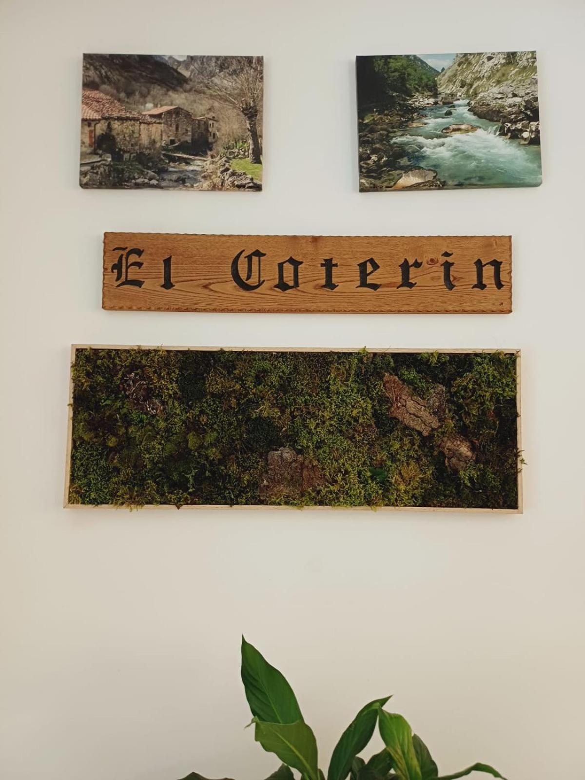 Hotel El Coterin Apartamentos Y Habitaciones Arenas De Cabrales Zewnętrze zdjęcie